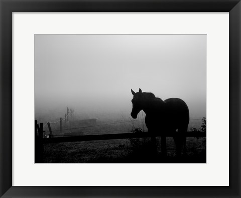 Framed Grazing in the Mist II Print