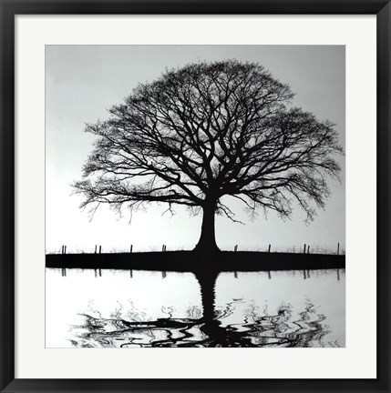 Framed Shimmering Oak Print