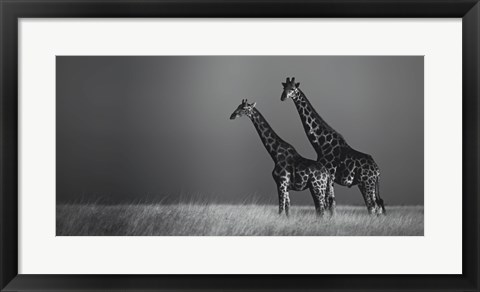 Framed African Skies II Print