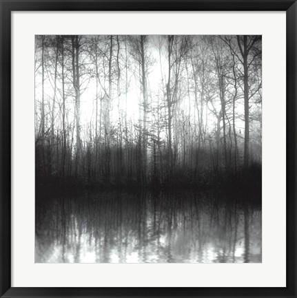 Framed Forest Mist Print