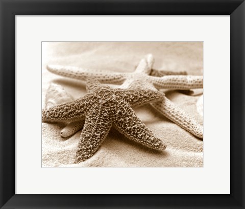 Framed Starfish Family Print