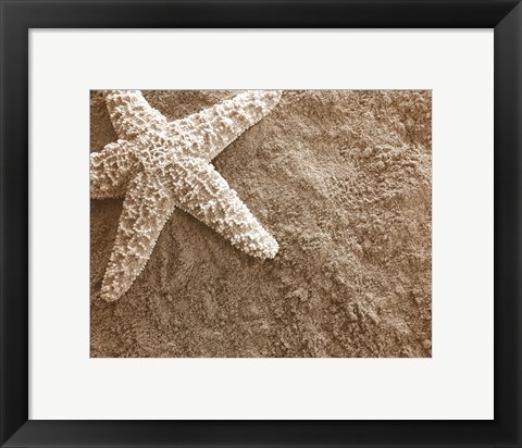 Framed Starfish in the Sand Print