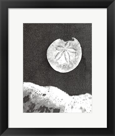 Framed Sand Dollar and Surf Print