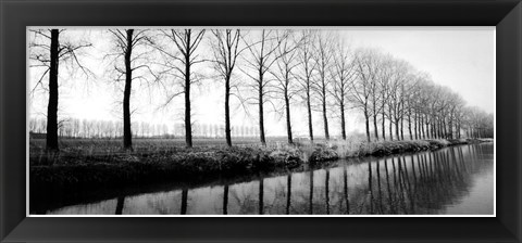 Framed Trees Along the Canal Print