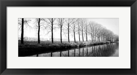 Framed Trees Along the Canal Print