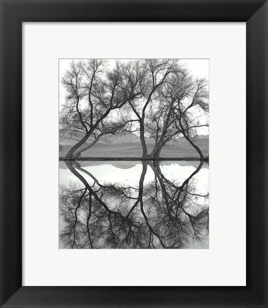 Framed Clarity in the Waters Print