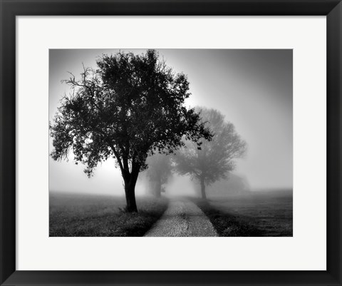 Framed Trees on County Road Print