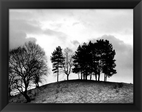 Framed Trees on Hill Print