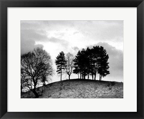 Framed Trees on Hill Print