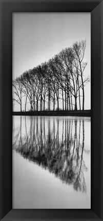 Framed Reflections Print