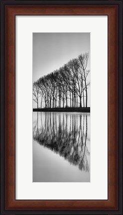 Framed Reflections Print