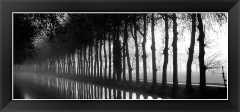 Framed Tree Lined Canal Print