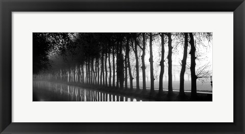 Framed Tree Lined Canal Print