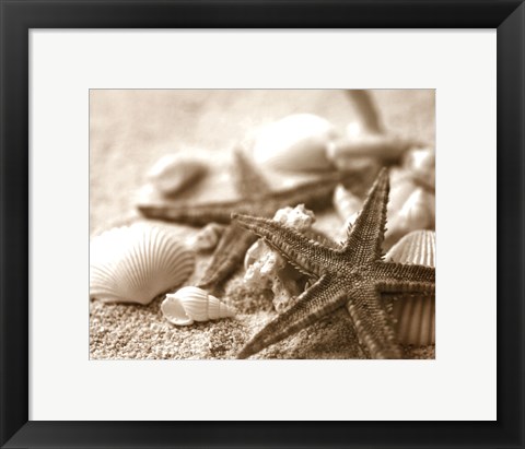 Framed Starfish and Seashells Print