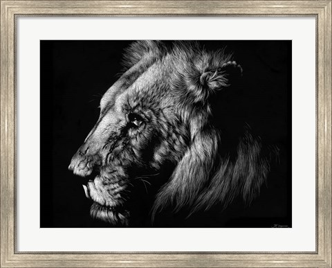 Framed Wildlife Scratchboards I Print