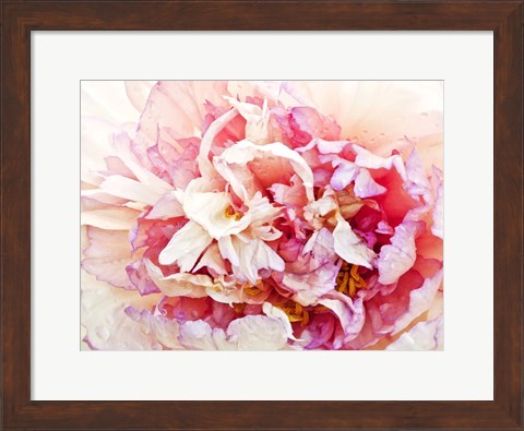 Framed Monet&#39;s Peony I Print