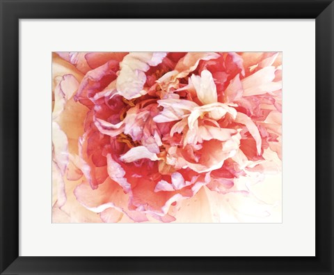 Framed Monet&#39;s Peony II Print