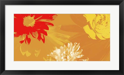 Framed Citrus Blooms II Print