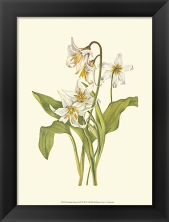 Framed Garden Potpourri II Print