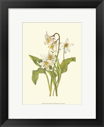 Framed Garden Potpourri II Print