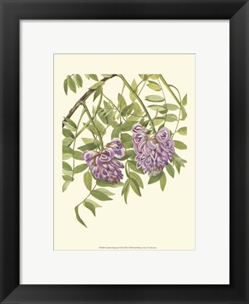 Framed Garden Potpourri VII Print