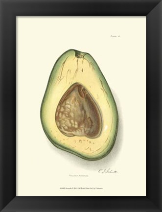 Framed Avocado Print