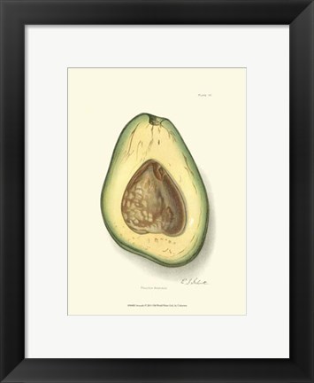 Framed Avocado Print