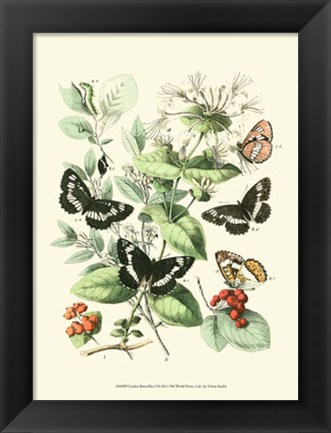 Framed Garden Butterflies I Print