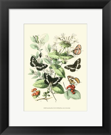 Framed Garden Butterflies I Print