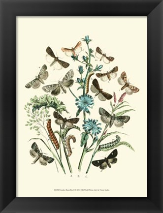 Framed Garden Butterflies II Print