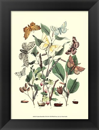 Framed Garden Butterflies III Print