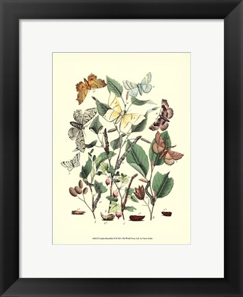 Framed Garden Butterflies III Print