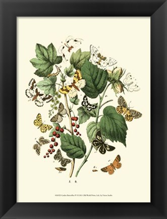 Framed Garden Butterflies IV Print