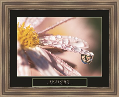 Framed Insight - Dewdrop Print