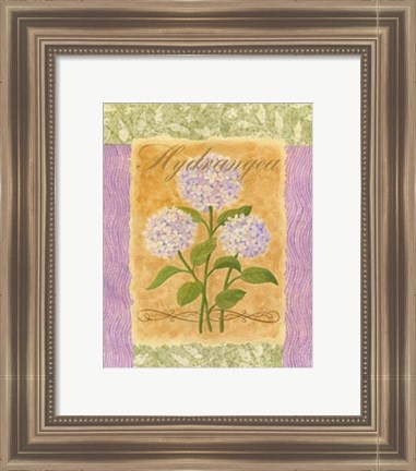 Framed Sweet Hydrangea Print