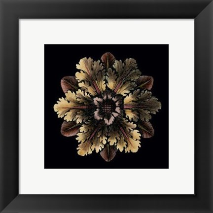 Framed Small Classic Rosette I Print