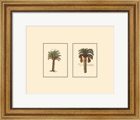 Framed Miniature Palm IV Print