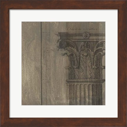 Framed Decorative Elegance VIII Print