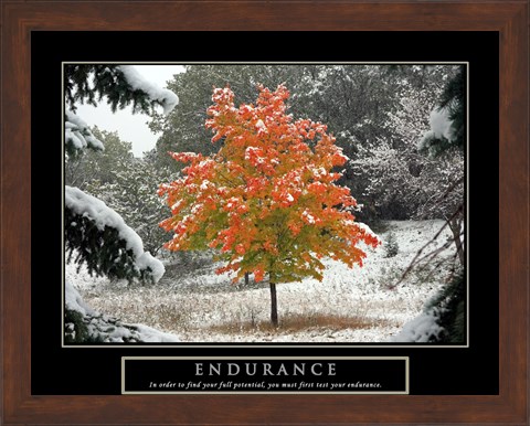 Framed Endurance - Fall Tree Print