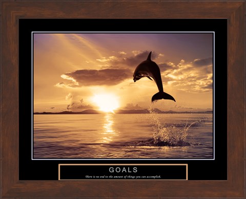 Framed Goals - Dolphins Print