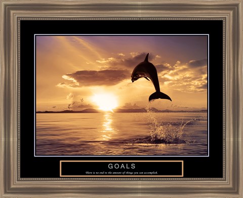 Framed Goals - Dolphins Print