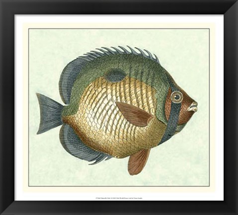 Framed Butterfly Fish I Print