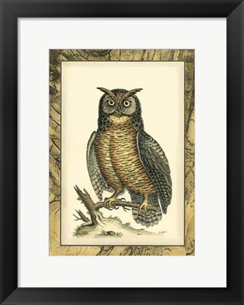 Framed Majestic Perch II Print