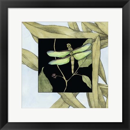 Framed Dragonfly Inset III Print