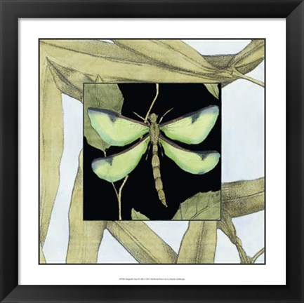 Framed Dragonfly Inset IV Print