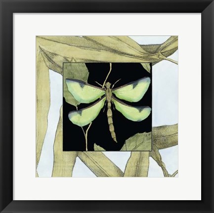 Framed Dragonfly Inset IV Print