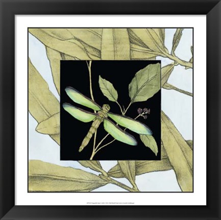 Framed Dragonfly Inset V Print