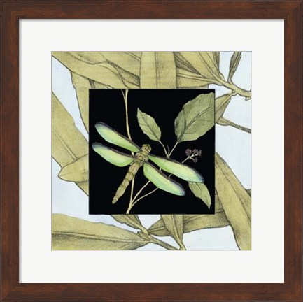 Framed Dragonfly Inset V Print