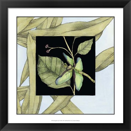 Framed Dragonfly Inset VI Print