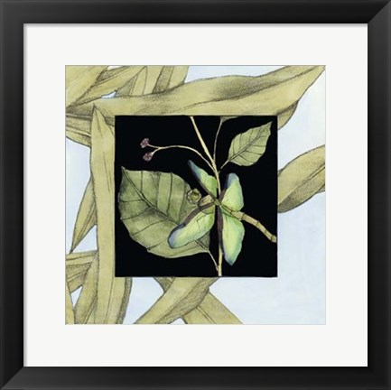 Framed Dragonfly Inset VI Print